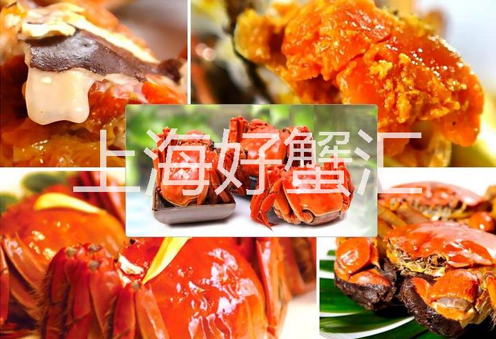 陽澄湖大閘蟹圖片/陽澄湖大閘蟹樣板圖 (4)