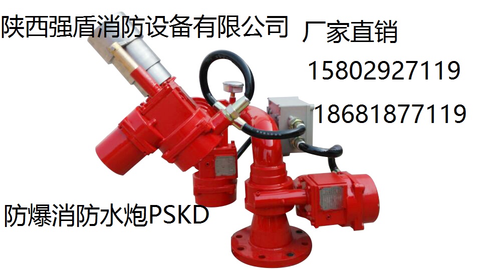 廠家直銷 電控消防水炮 PSKD電動消防水炮  全齊