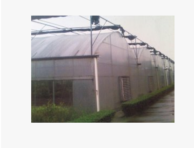 溫室大棚舊棚改造圖片