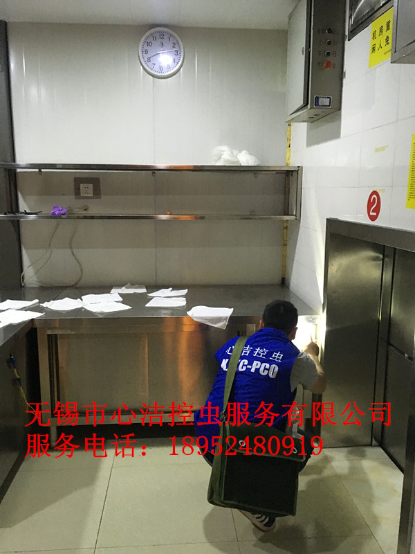 滅蟑螂圖片/滅蟑螂樣板圖 (1)