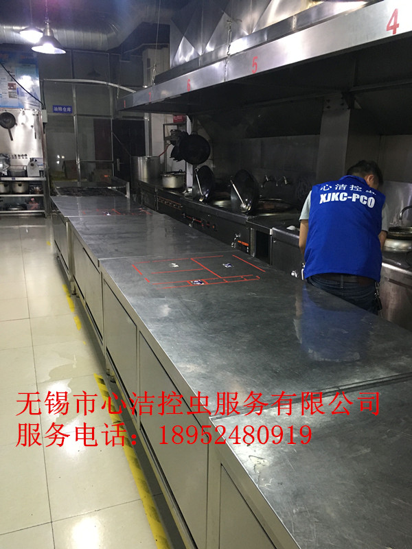 滅鼠公司圖片/滅鼠公司樣板圖 (3)