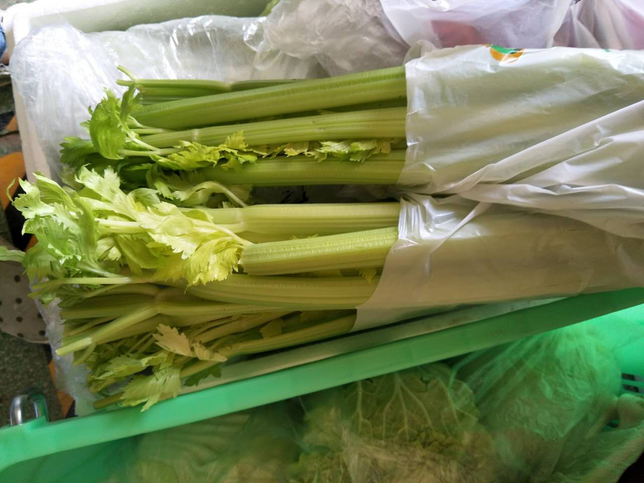 葉菜圖片