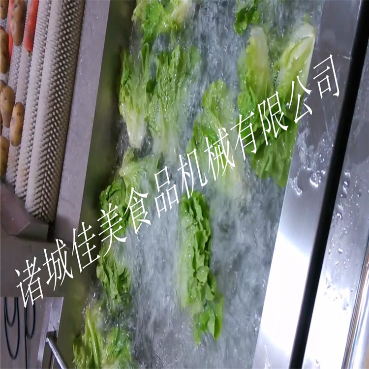 潍坊市蔬菜高压喷淋清洗设备 苹果清洗机厂家山东诸城蔬菜高压喷淋清洗设备 苹果清洗机 304不锈钢果蔬清洗机 大型果蔬气泡清洗机 西红柿清洗机