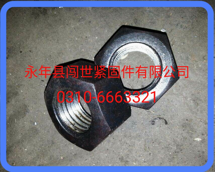 毛母大全，GB41,毛母標(biāo)準(zhǔn)圖片