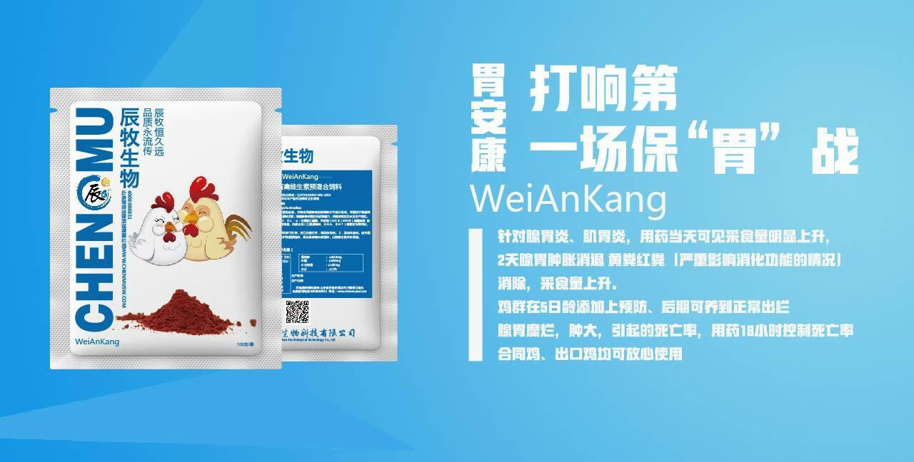 鴨得了腺胃炎怎么*