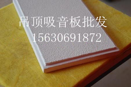 吊頂吸音板圖片/吊頂吸音板樣板圖 (1)