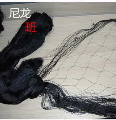 葡萄園防鳥網(wǎng)圖片/葡萄園防鳥網(wǎng)樣板圖 (4)