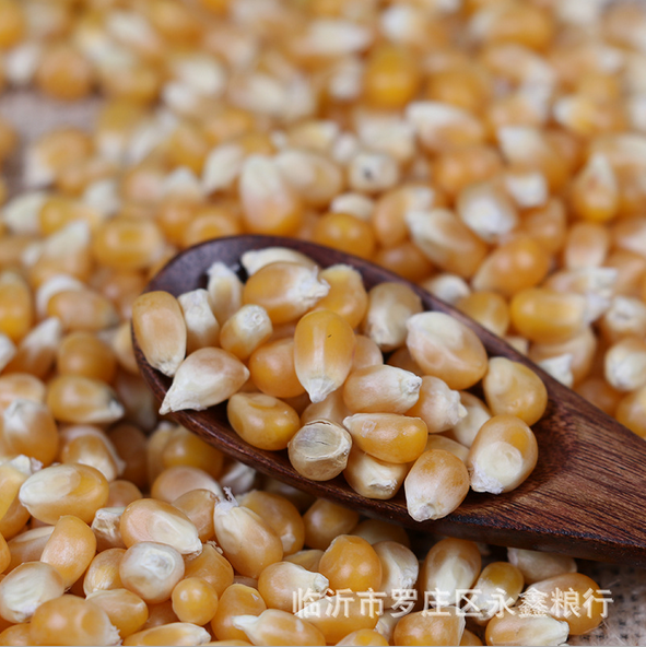 爆米花圖片/爆米花樣板圖 (4)