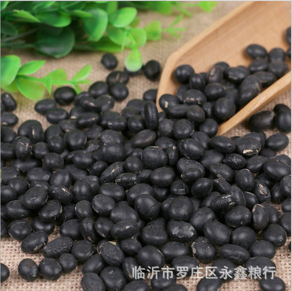 綠芯黑豆批發(fā)圖片