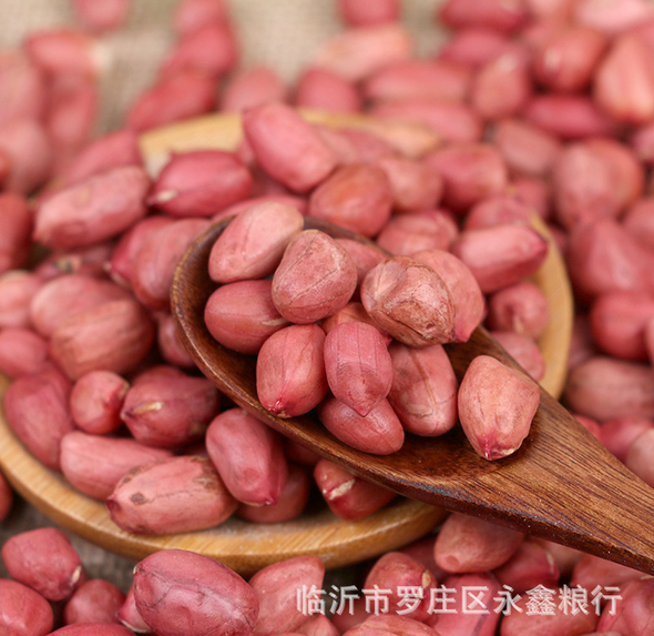 批發(fā)東北四粒紅農(nóng)家花生圖片/批發(fā)東北四粒紅農(nóng)家花生樣板圖 (2)