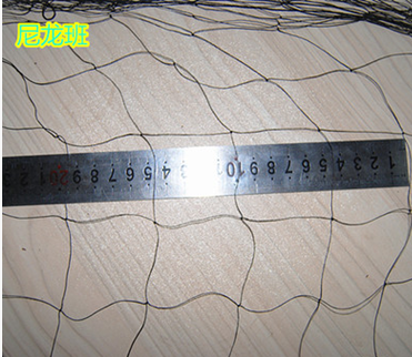 尼龍防鳥網(wǎng)圖片/尼龍防鳥網(wǎng)樣板圖 (1)