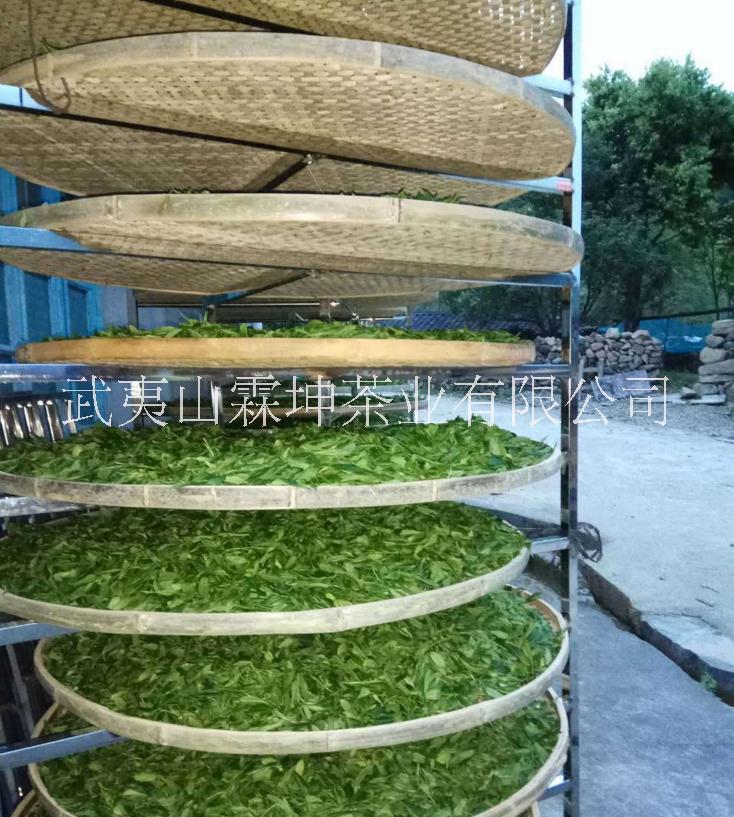 小種紅茶圖片/小種紅茶樣板圖 (4)