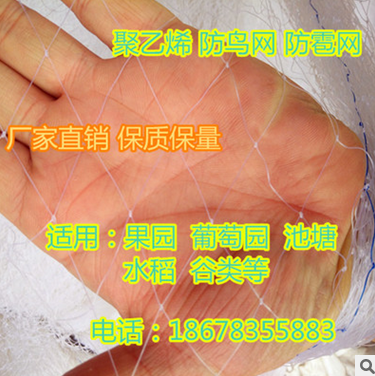 葡萄網(wǎng)枸杞網(wǎng)網(wǎng)具批發(fā)網(wǎng)具供應(yīng)商網(wǎng)具廠家