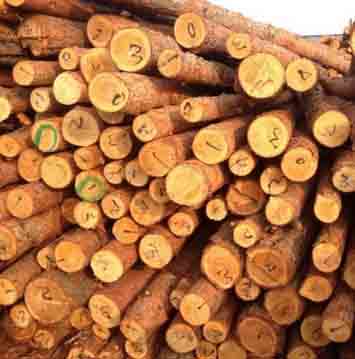 蘇州供應(yīng)白松龍骨料圖片