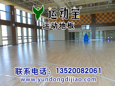 室內(nèi)運動地膠 室內(nèi)運動地板圖片