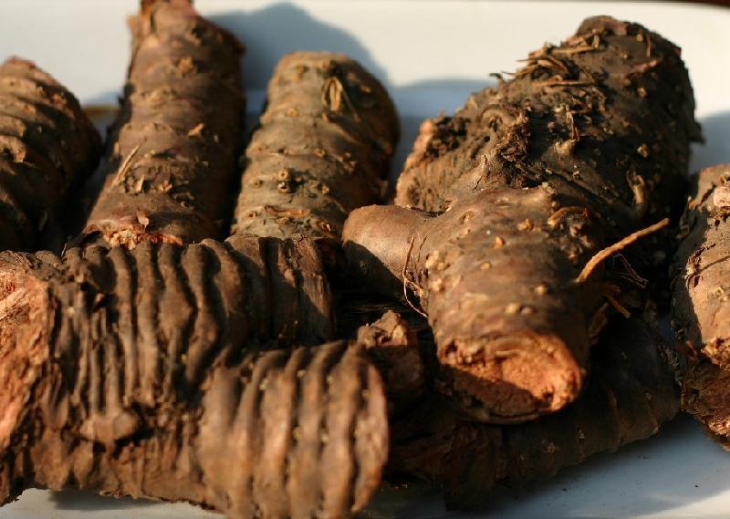 紅景天提取物圖片/紅景天提取物樣板圖 (4)