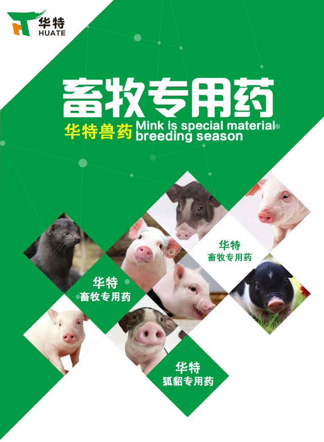 萎縮性鼻炎、豬鏈球菌、副豬嗜血桿菌、放線桿菌胸膜肺炎、豬肺疫、葡萄球菌、附紅細(xì)胞體病 諸城+寧御+批發(fā)供應(yīng)