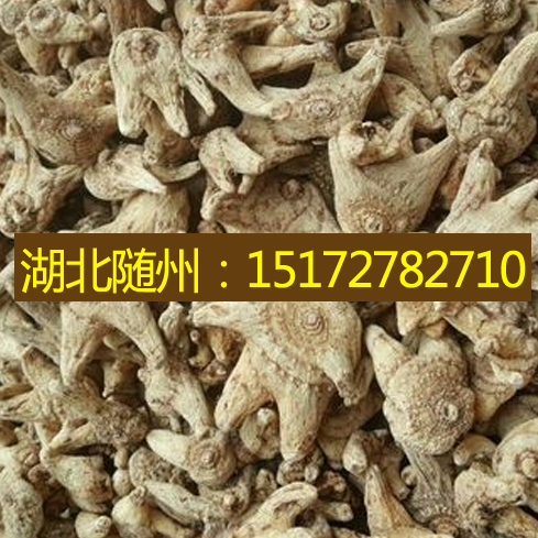 湖北白芨 干貨 紫花三叉圖片/湖北白芨 干貨 紫花三叉樣板圖 (1)