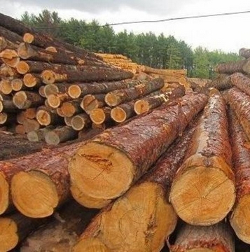 滿洲里柏林經(jīng)貿(mào)有限公司-西伯利亞 柏林西伯利亞白松