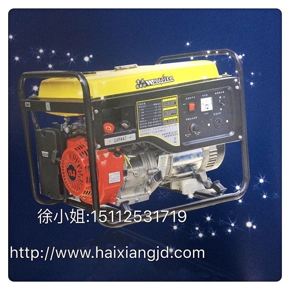 維斯特210汽油發(fā)電機(jī)組出售圖片
