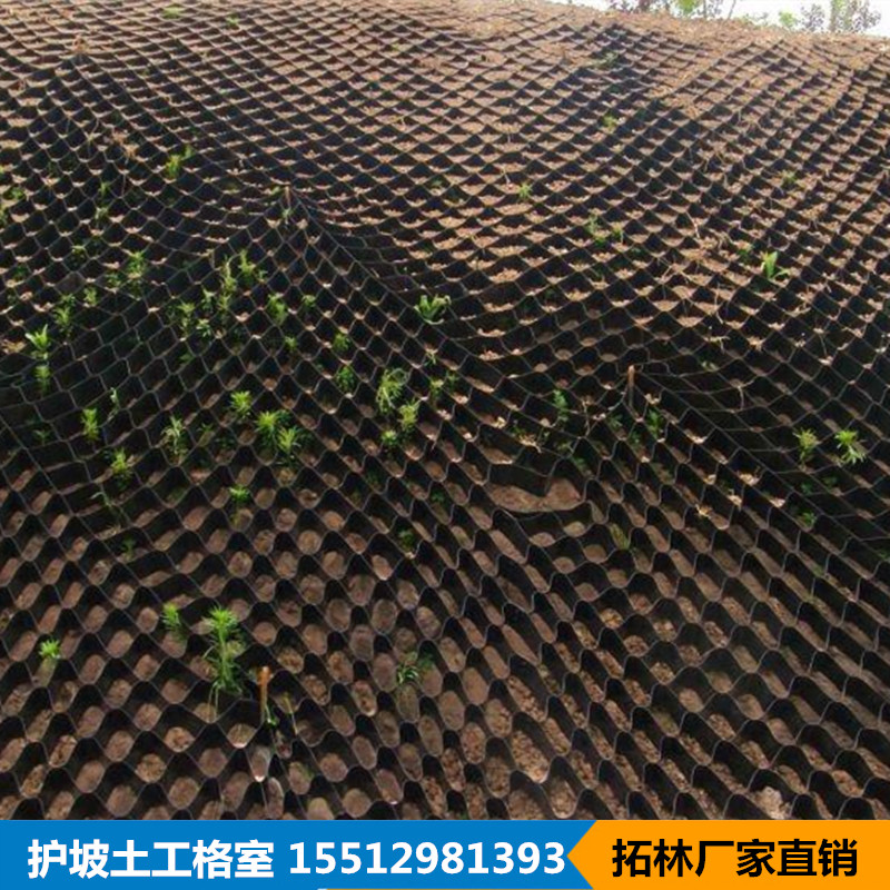 公路土工格室 高速公路邊坡防護(hù)圖片