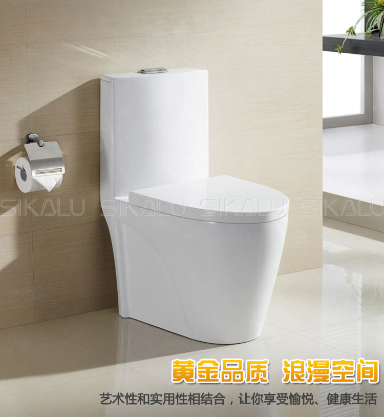 坐便器圖片/坐便器樣板圖 (2)