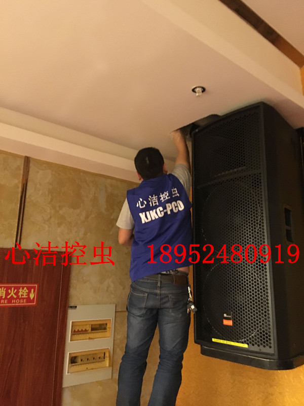 滅鼠公司圖片/滅鼠公司樣板圖 (4)