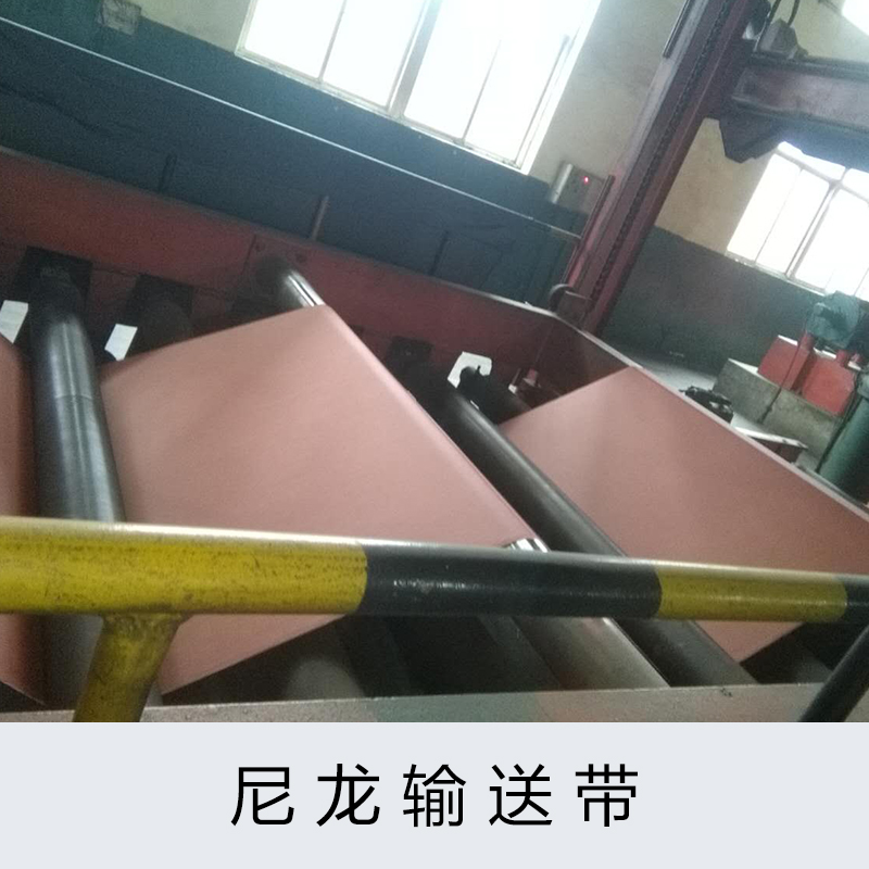 甘肅尼龍輸送帶圖片