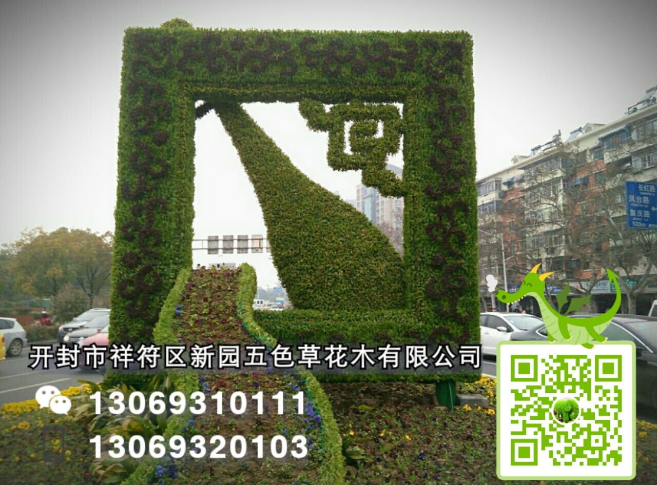 五色草圖片/五色草樣板圖 (4)