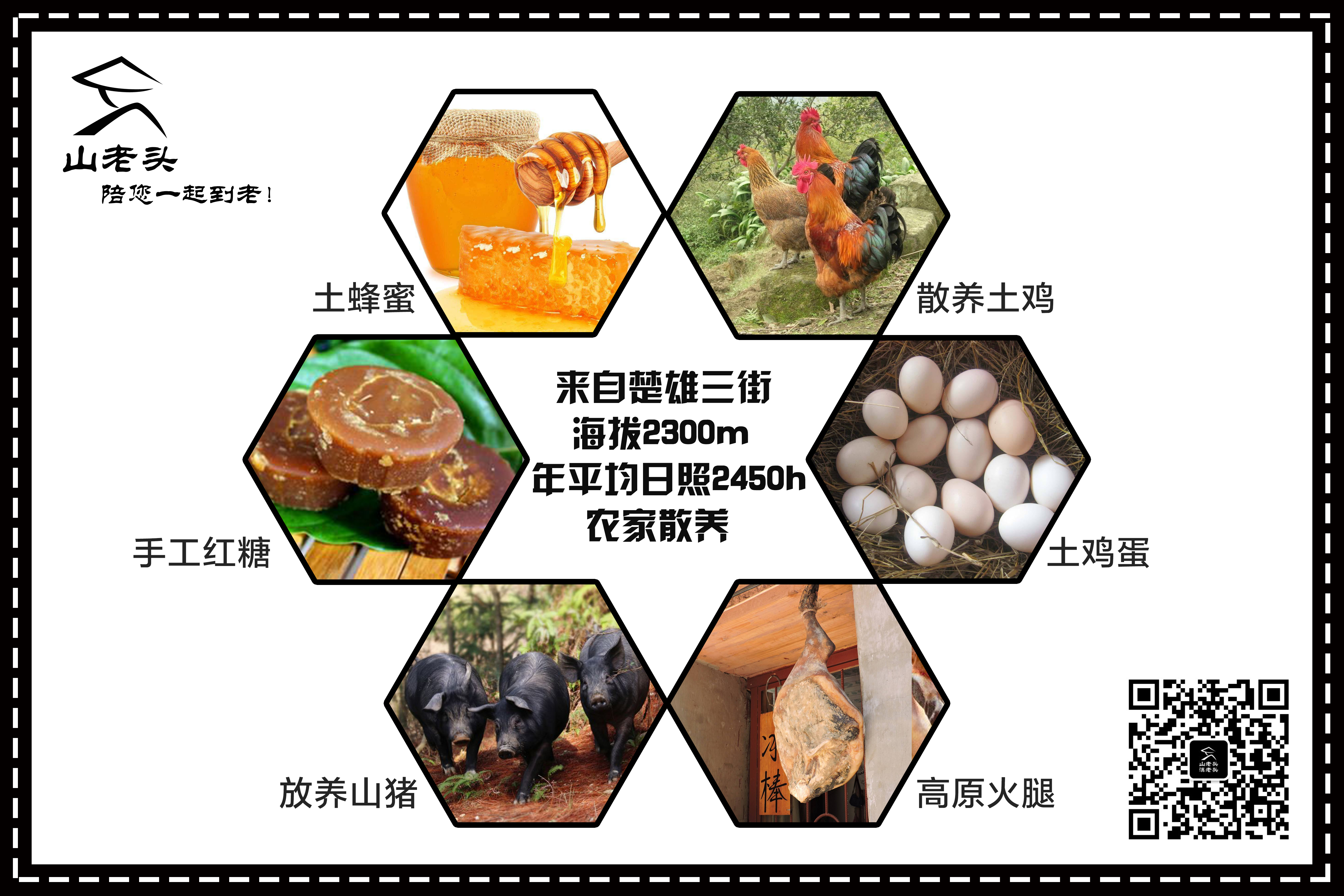 野生菌圖片/野生菌樣板圖 (4)