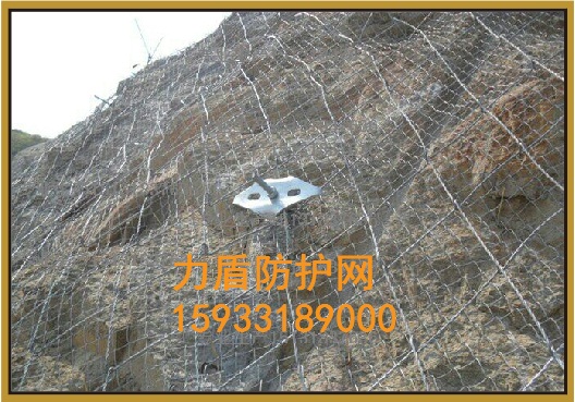 邊坡防護(hù)網(wǎng)圖片/邊坡防護(hù)網(wǎng)樣板圖 (3)