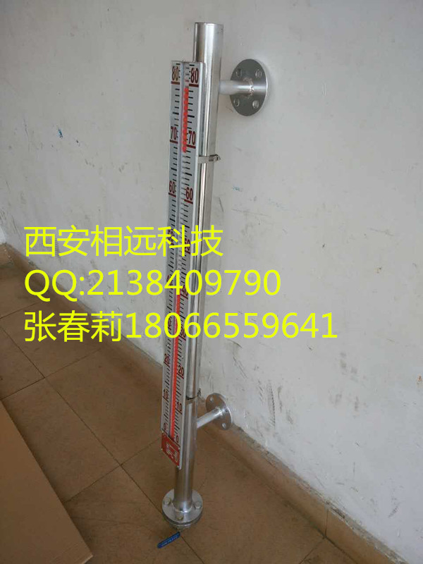 遠(yuǎn)傳磁浮子液位計(jì)圖片