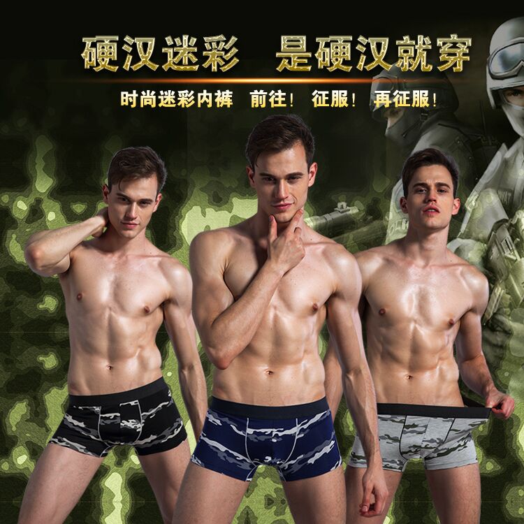 莫代爾圖片/莫代爾樣板圖 (2)