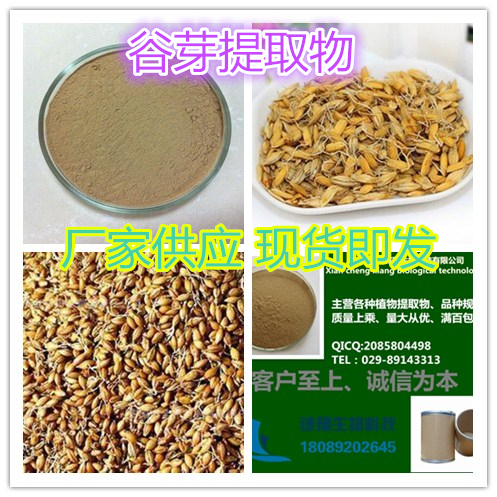 谷芽提取物圖片