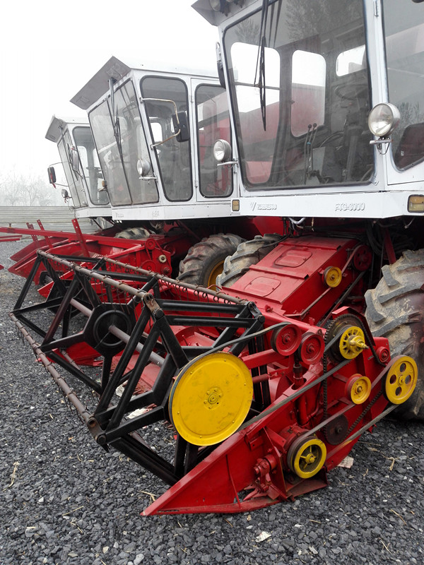 玉米秸稈圖片/玉米秸稈樣板圖 (3)