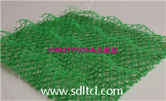 植被網(wǎng)圖片/植被網(wǎng)樣板圖 (3)