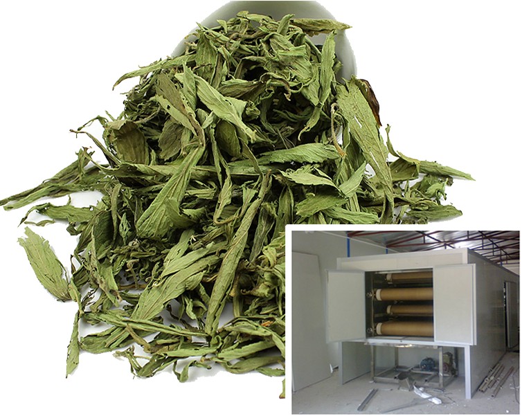 甜葉菊烘干機 節(jié)能環(huán)保甜葉菊烘干機 廠家定制甜葉菊烘干設(shè)備報價