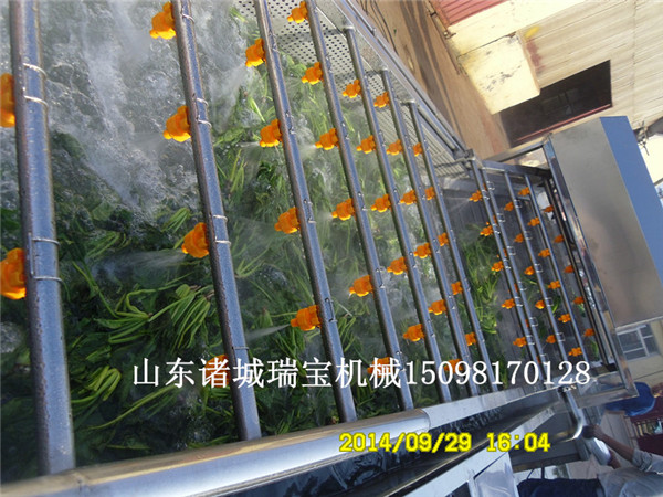 洗菜機圖片/洗菜機樣板圖 (3)