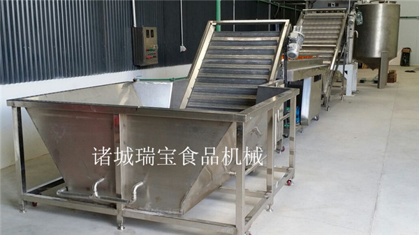 瑞寶橘子蘋果清洗機(jī)圖片