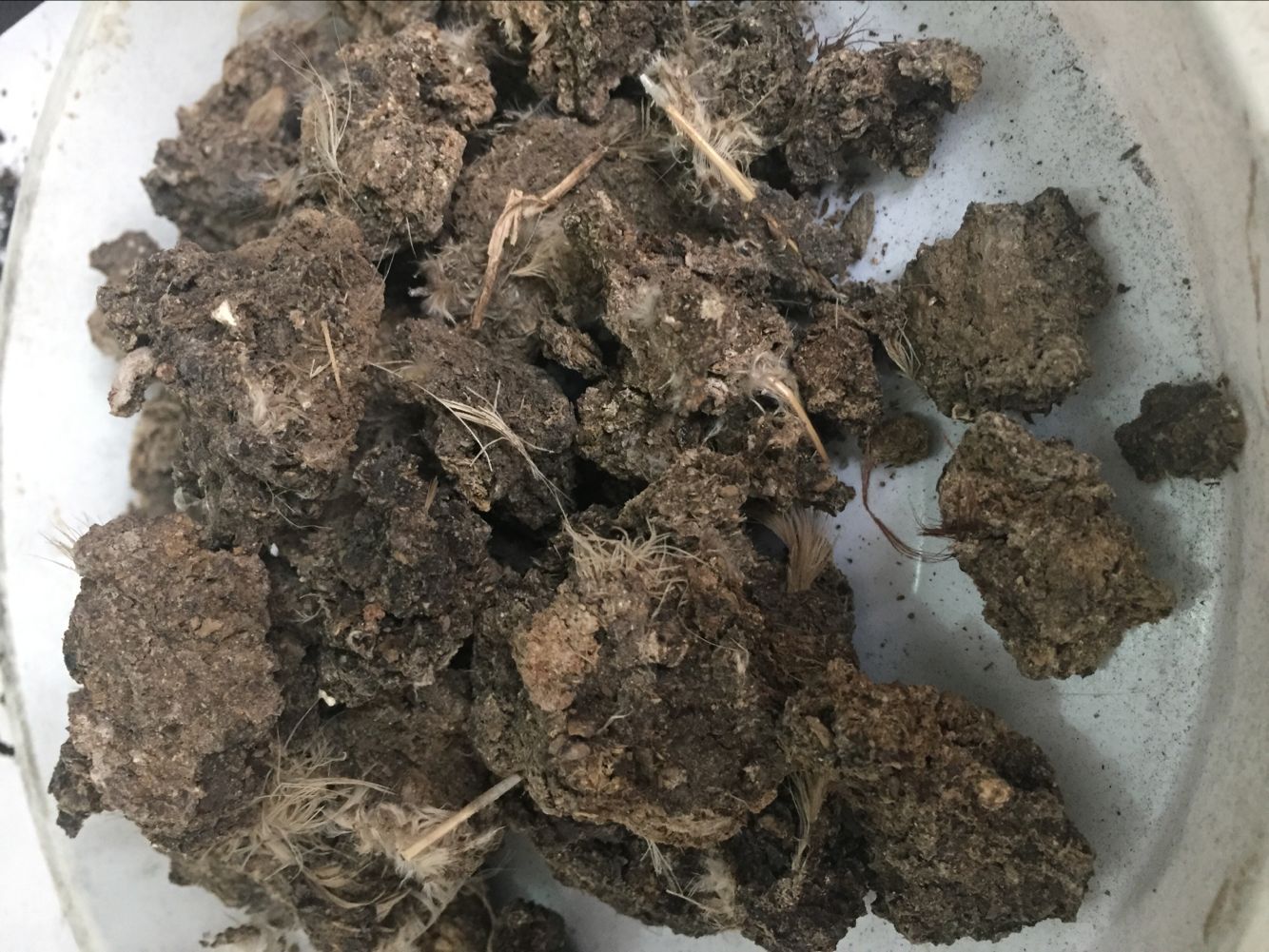 蔬菜肥圖片/蔬菜肥樣板圖 (3)