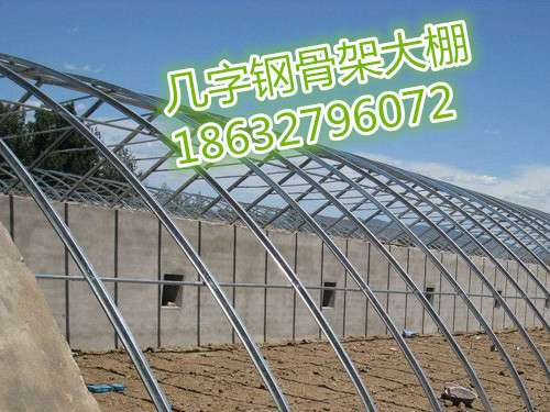 大棚骨架圖片/大棚骨架樣板圖 (2)