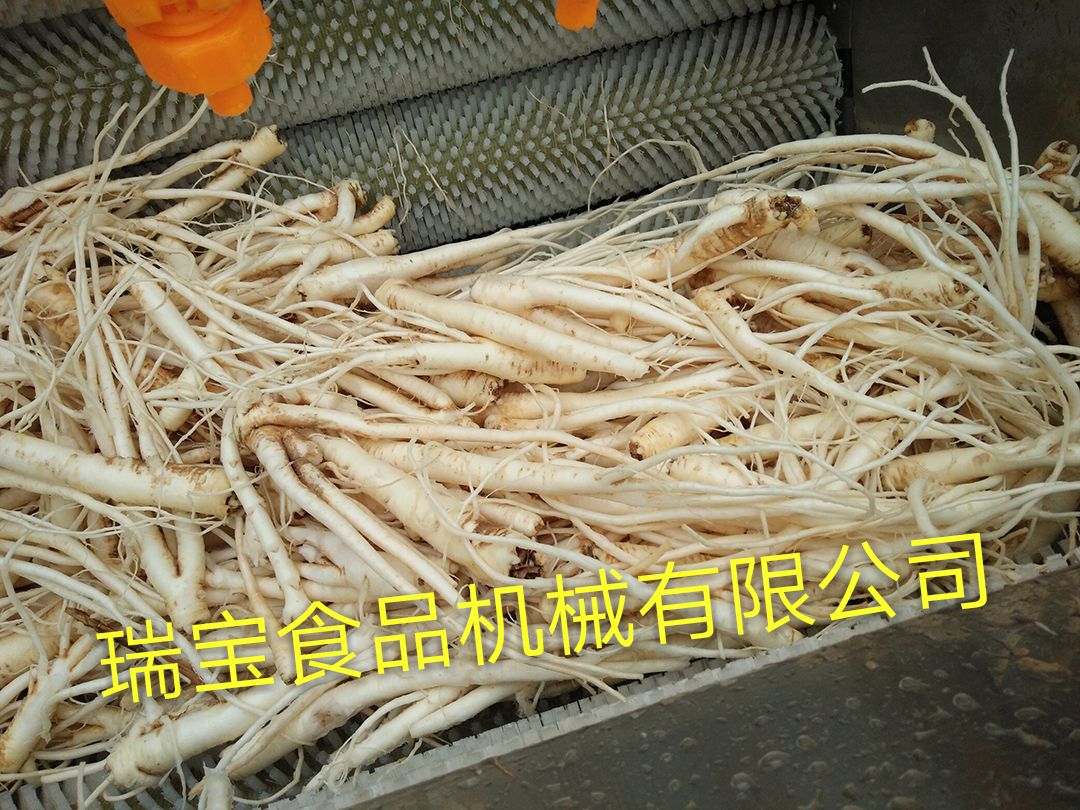 供應(yīng)瑞寶地瓜清洗機(jī)-山東果蔬清洗去機(jī)