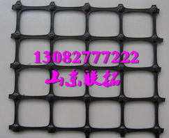 鄂爾多斯煤礦用雙向塑料護(hù)幫網(wǎng)圖片