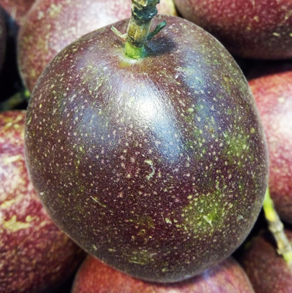 百香果圖片/百香果樣板圖 (4)