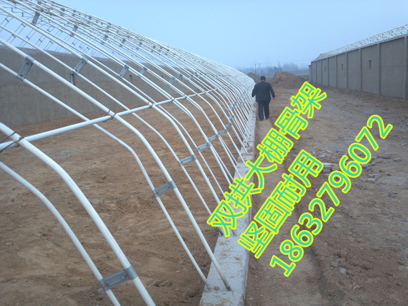 大棚骨架圖片/大棚骨架樣板圖 (3)