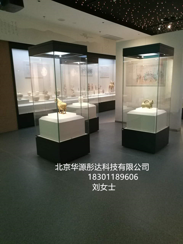 博物館古董展柜博物館文物展柜制作圖片/博物館古董展柜博物館文物展柜制作樣板圖 (4)