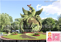 孔雀開屏圖片/孔雀開屏樣板圖 (3)