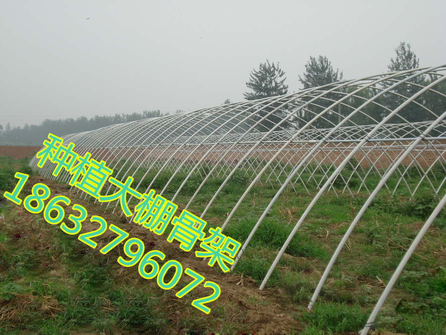 河北草莓種植大棚的造價(jià)是多少