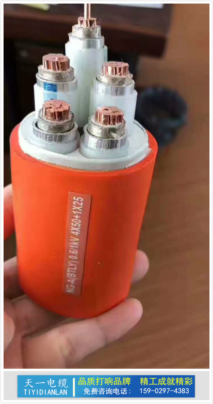 陜西BBTRZ礦物絕緣柔性電纜圖片
