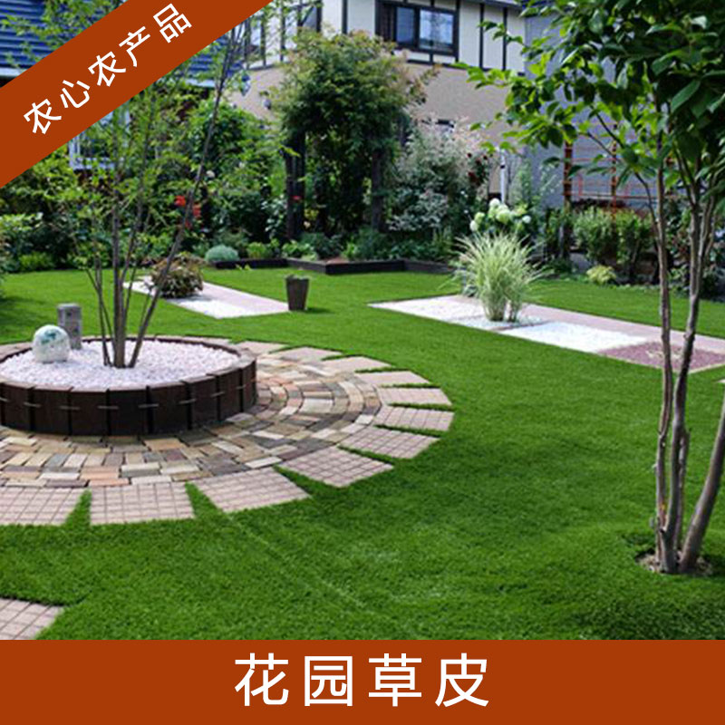 花園草皮圖片/花園草皮樣板圖 (3)